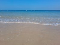 IMG_8109.jpeg