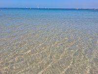 IMG_8112.jpeg