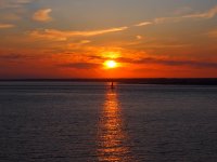 IMG_8117.jpeg