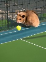 Higgins ball boy.jpg