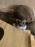 IMG_1882.jpeg