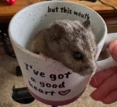 IMG_1974.webp IMG_1974.webp