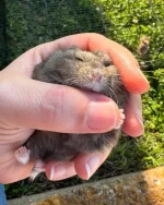 IMG_1976.webp IMG_1976.webp