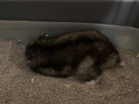 IMG_1891.jpeg