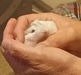 IMG_20250708_221307_181~2.jpg