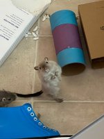 IMG_0698.jpeg