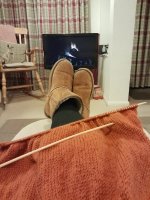 IMG_7810.jpeg