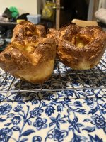 IMG_2887.jpeg