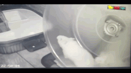 nora_gif.gif