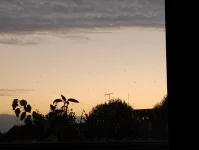 IMG_20250824_054207137.webp