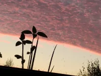IMG_20250824_055026180.webp