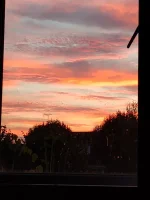 IMG_20250826_055409303.webp