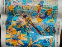 IMG_20250826_084501248.webp