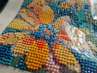 IMG_20250826_084611128.webp