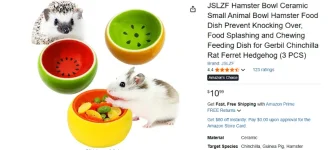 future hamster food bowl.webp
