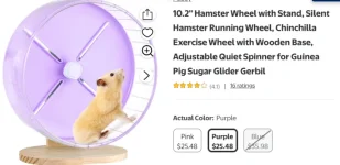 future hamster wheel.webp