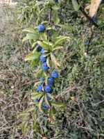 20250929_114152.webp
