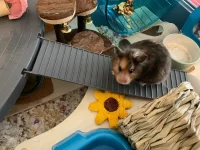 IMG_7549.webp IMG_7549.webp