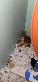 1000024030.webp 1000024030.webp