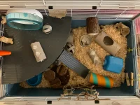 IMG_6919.webp IMG_6919.webp