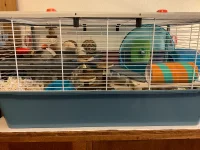 IMG_7101.webp IMG_7101.webp