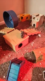 P_20251014_185907.webp P_20251014_185907.webp