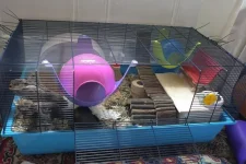 Cage Set up - shrunk 700.webp