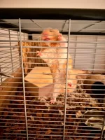 b694ae51-f7c4-4c8e-8303-5c8f562a0707.webp b694ae51-f7c4-4c8e-8303-5c8f562a0707.webp