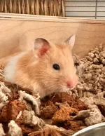 8a6d6b5f-b646-4607-bf52-d68567545320.webp 8a6d6b5f-b646-4607-bf52-d68567545320.webp