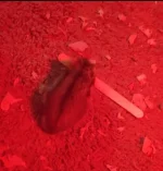 Screenshot_20251022-182855398 (1)_1.webp