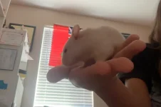 Photo on 10-25-25 at 11.48 AM.webp