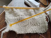 IMG_20251026_141337827.webp IMG_20251026_141337827.webp