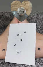 E0ACF266-22D4-4674-8DB4-062E4FC6FD92.webp E0ACF266-22D4-4674-8DB4-062E4FC6FD92.webp