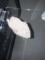 IMG_1381.webp IMG_1381.webp