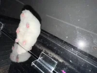 IMG_1382.webp IMG_1382.webp