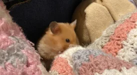 2025-10-25 22.05.18 2.webp