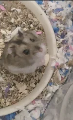 Screenshot_20251104-215621267_1.webp Screenshot_20251104-215621267_1.webp