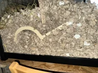 IMG_1524.webp IMG_1524.webp