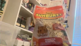 Screenshot 2025-11-05 at 5.01.07 PM.webp