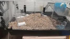 thumbnail2.webp thumbnail2.webp