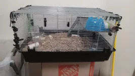 thumbnail3.webp thumbnail3.webp