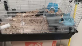 thumbnail4.webp thumbnail4.webp