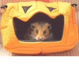 PA240891_1 edited 2.webp