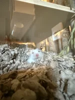 IMG_1574.webp IMG_1574.webp