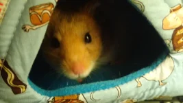 P7071281 (2).webp P7071281 (2).webp