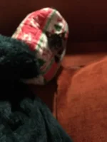 IMG_0782 resized.webp IMG_0782 resized.webp