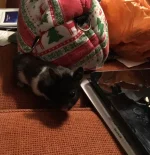 IMG_1005 resized.webp IMG_1005 resized.webp