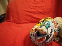 P1171930.webp P1171930.webp