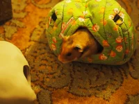 P8240874.webp P8240874.webp