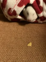 IMG_1864.webp IMG_1864.webp